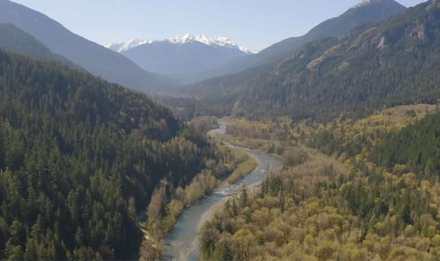 Olympic Climate Action supports the City of Port Angeles’s “Elwha Watershed Protection Project”.